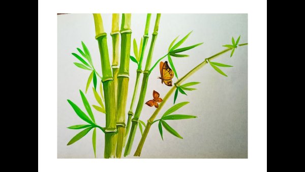 Бамбук рисунок для начинающих