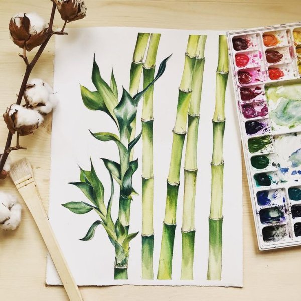Бамбук скетч акварелью