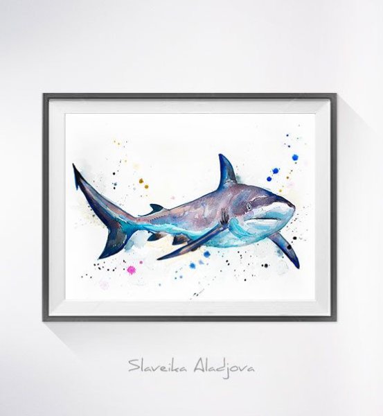 Акула акварелью
