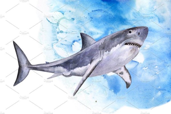 Акула акварелью