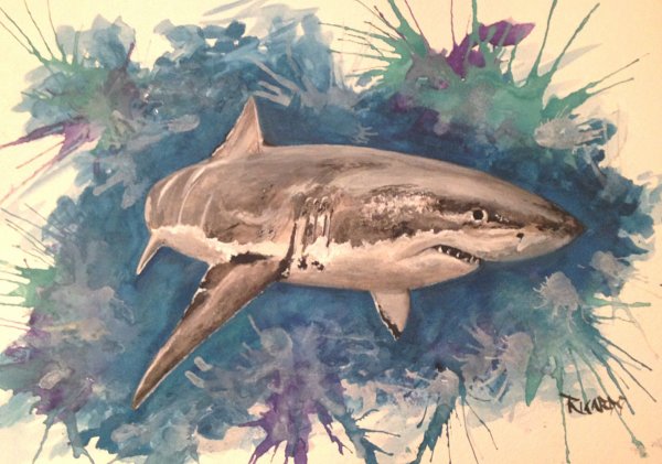Акула пастелью