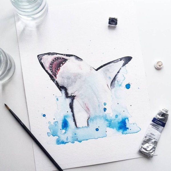 Акула скетч акварель