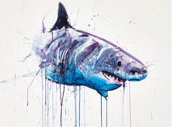Красивая акула арт