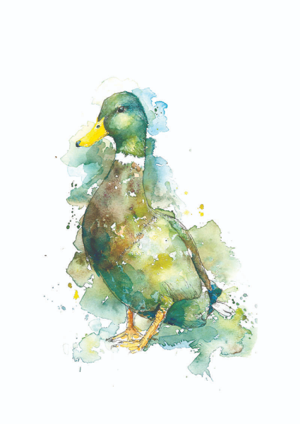 Уточка акварелью