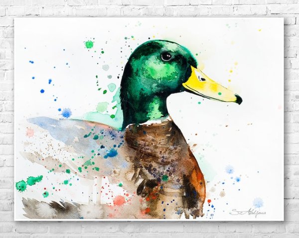 Утка акварелью