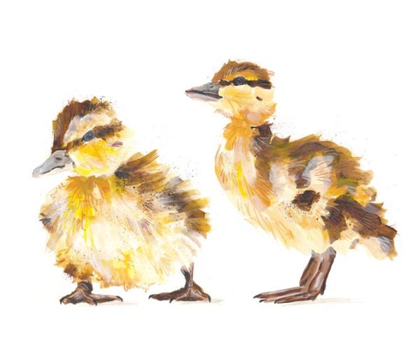 Утки акварелью