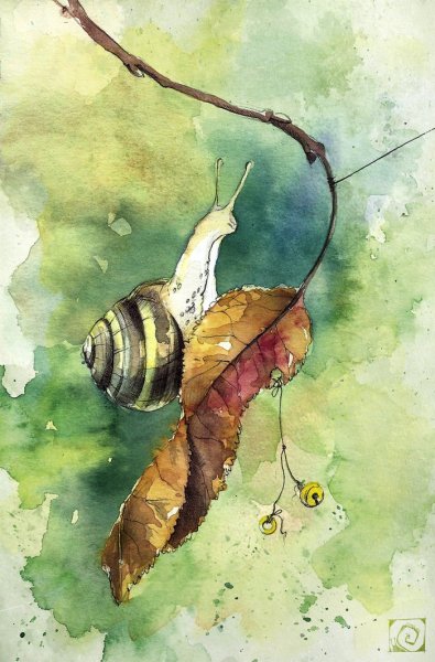 Улитка акрилом