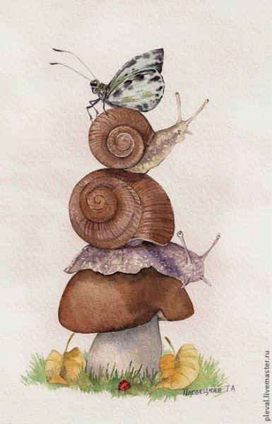 Улитка цветными карандашами