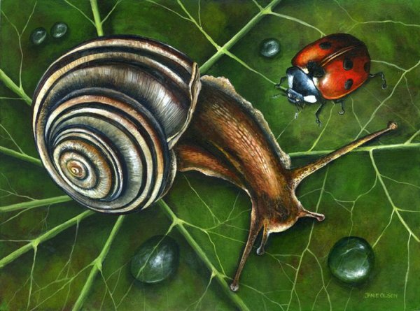 Открытка на др акварелью