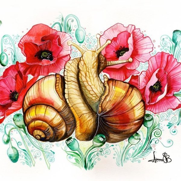 Улитка картина