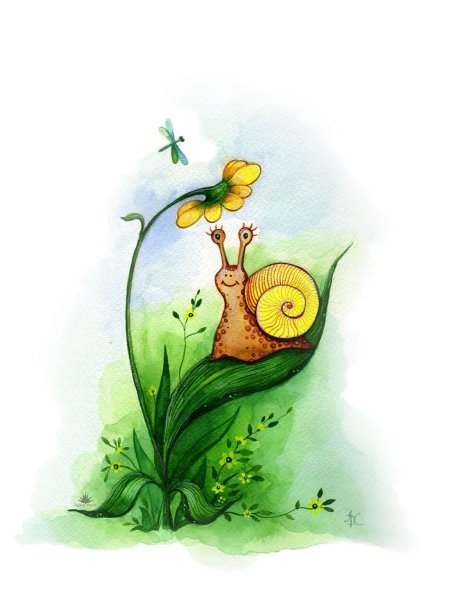 Улитка референс