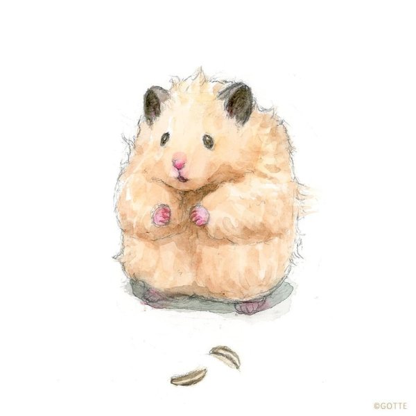 Нарисовать хомяка