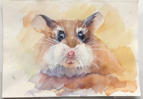 Хомяк акварелью