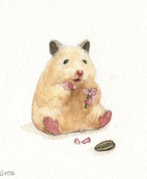 Хомяк акварелью
