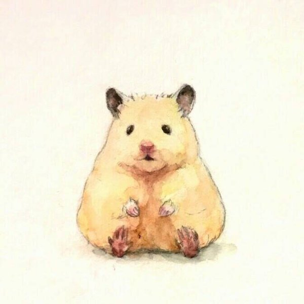 Gotte хомяки акварель