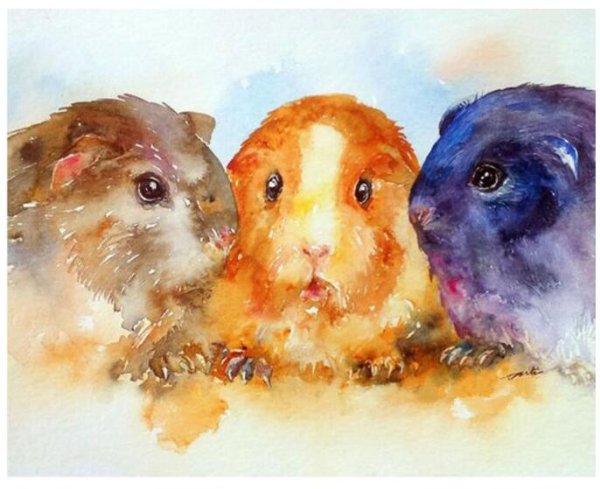 Хомяк акварелью