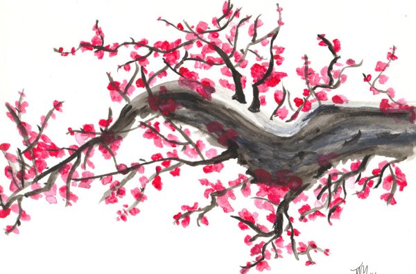 Розовое дерево акварелью