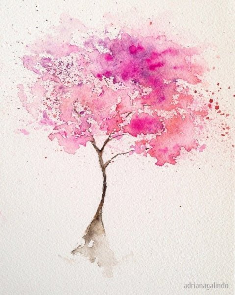 Дерево Сакуры красками