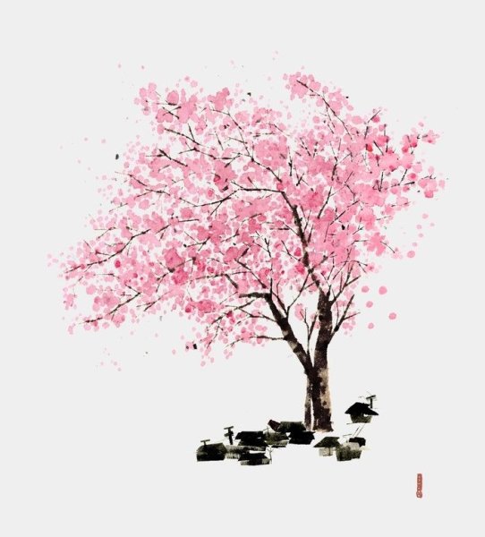 Ветка Сакуры красками