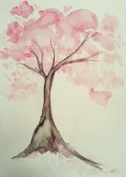 Розовое дерево акварелью
