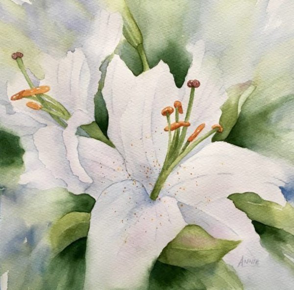 Лилия акварелью