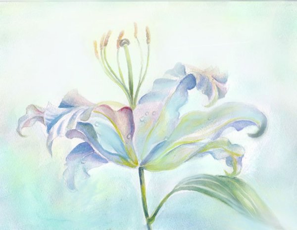 Лилия Аксиома