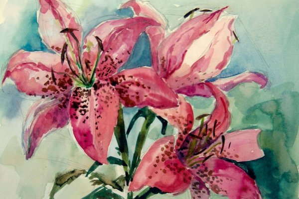 Белая Лилия акварель