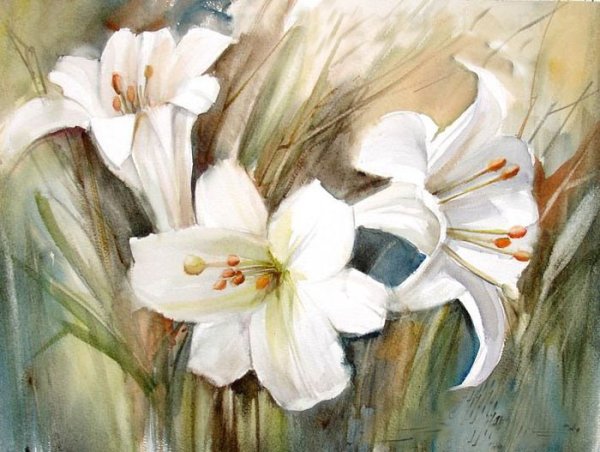 Белая Лилия акварелом