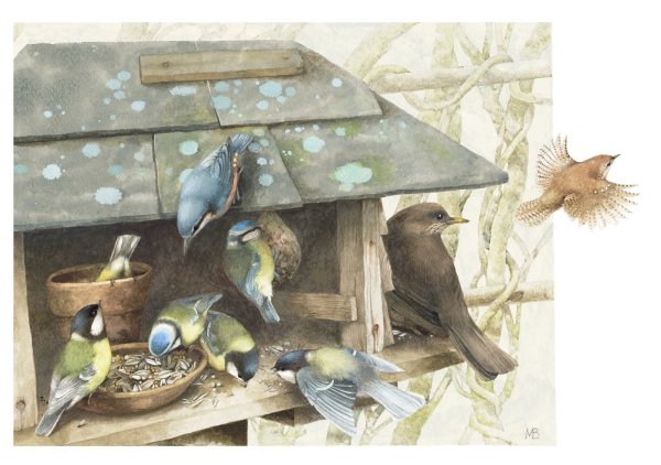 Marjolein Bastin художник синицы