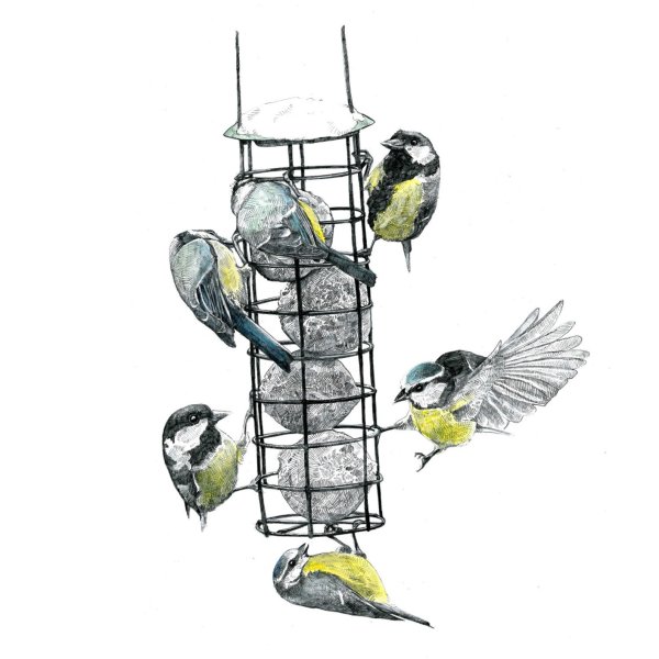 Кормушки для птиц зимой