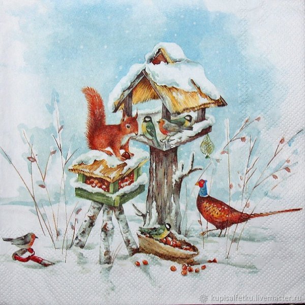 Угощение для белочек и птичек зимой