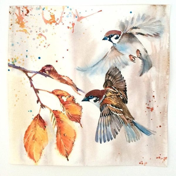 Анастасия Беседина художник акварель птицы иллюстрации