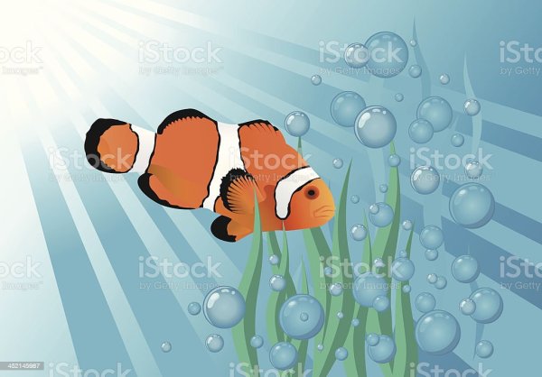 Рыбки клоуны в море рисунок