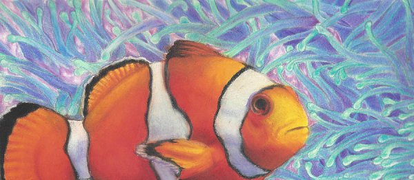 Рыба клоун красками