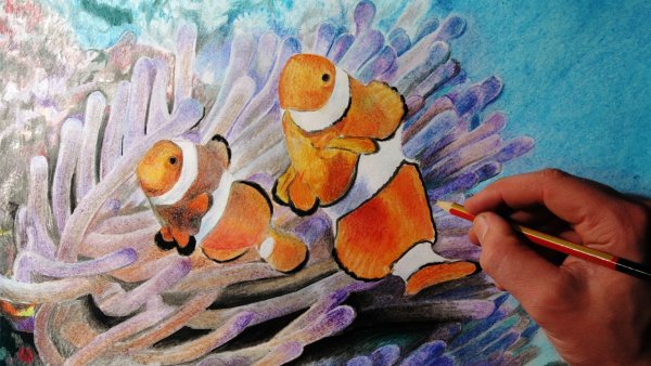 Рыбка цветными карандашами