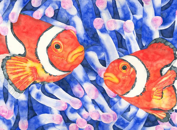 Рыба клоун акварелью