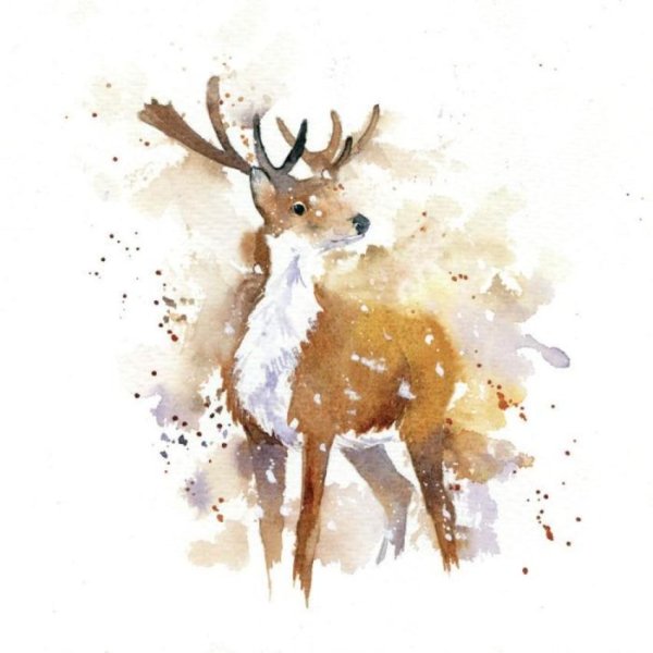 Олень картинка