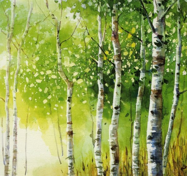 Пейзаж с березами гуашью