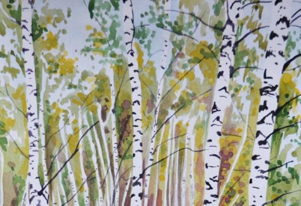 Березовая роща акварелью