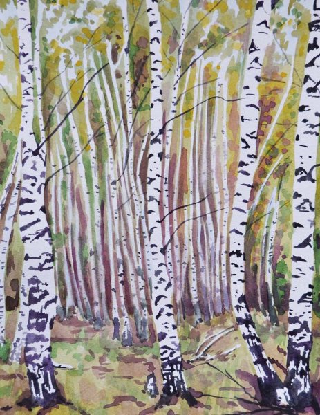 Рисование Березовая роща
