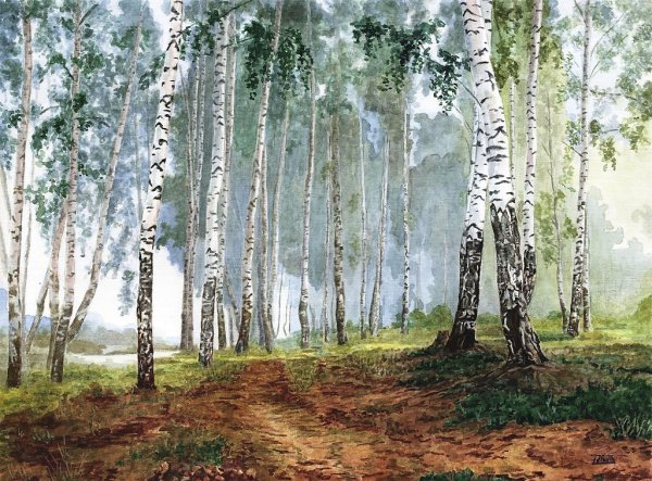 Пейзаж Березовая роща Епишина