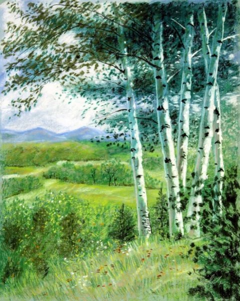 Простенький пейзаж с березами