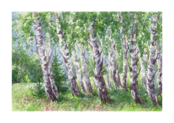 Березовая роща пейзаж акварель