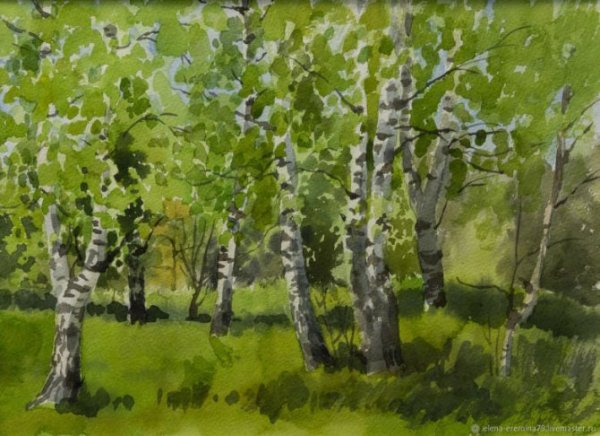 Плинер березовой Рощи