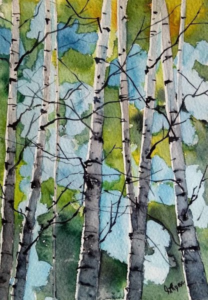 Березка акварель