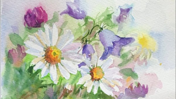 Поле ромашек акварель