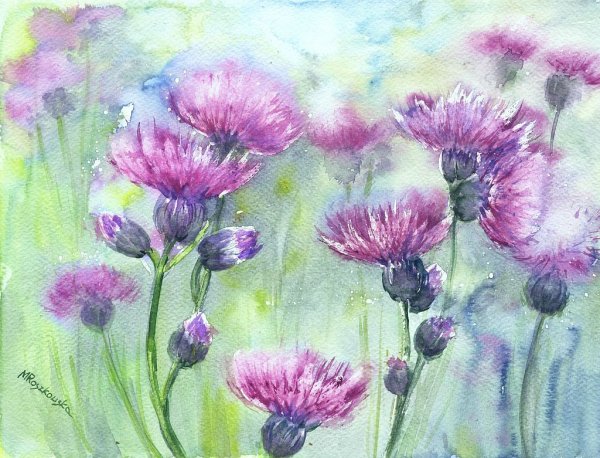 Maria Roszkowska Watercolor акварель цветы