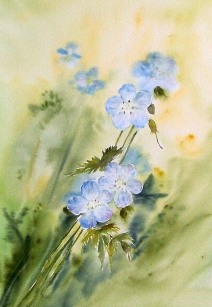 Барбара Пингот цветы акварель