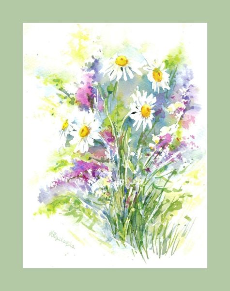 Луговые цветы акварель