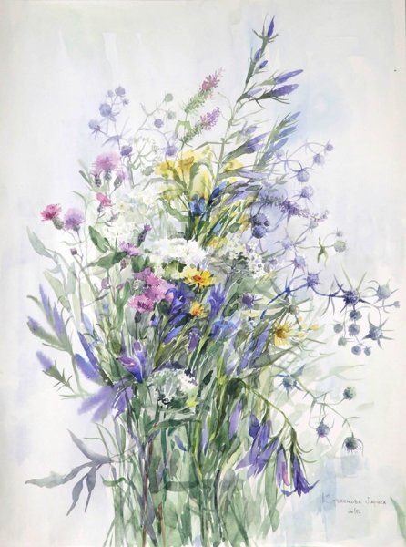 Акварель Ботаническая Полев цветы